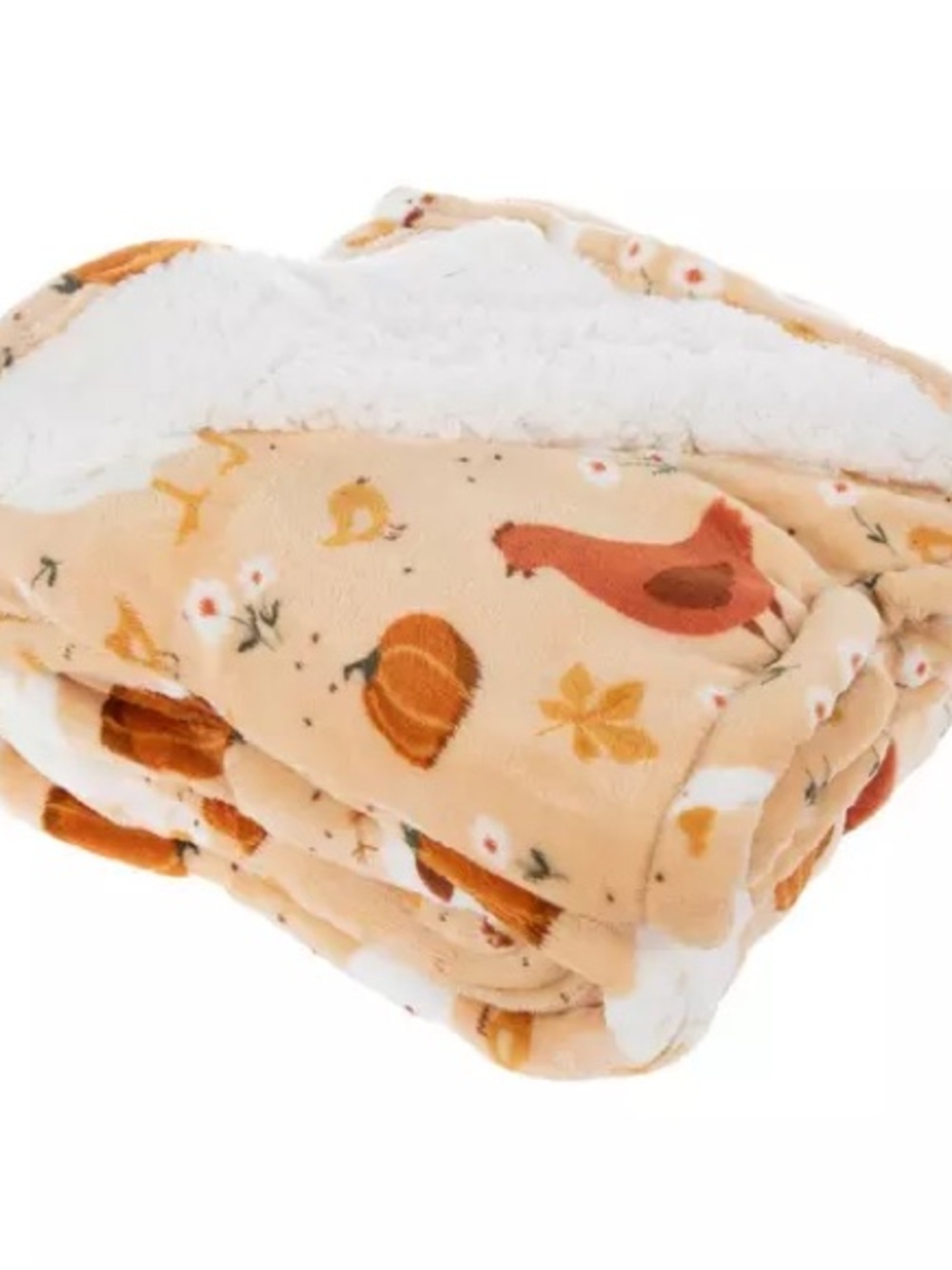 Hobby Lobby NWT Fall Goose Blanket